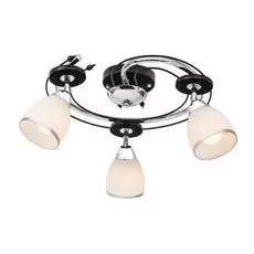 223.59.3 Спот Silver Light Austerity