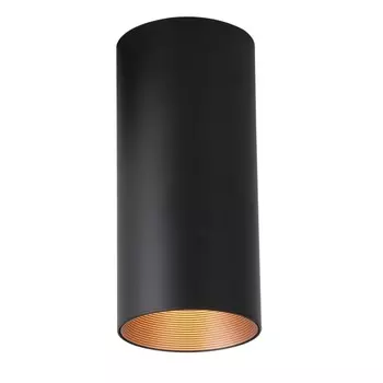2249-1U Потолочный накладной светодиодный светильник Favourite Drum