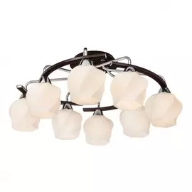 228.59.8 Потолочная люстра Silver Light Aranda