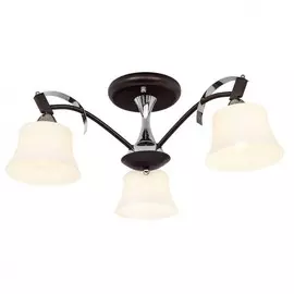 231.59.3 Потолочная люстра Silver Light Assol