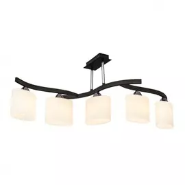 234.59.5 Потолочная люстра Silver Light Astoria