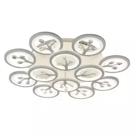 2390-12U Потолочная светодиодная люстра с пультом F-Promo Ramus