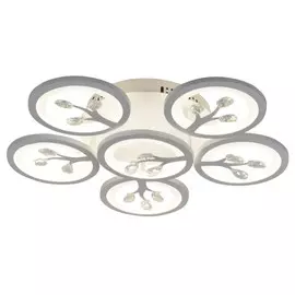 2390-6U Потолочная светодиодная люстра с пультом F-Promo Ramus