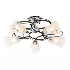 242.59.5 Потолочная люстра Silver Light Bibis