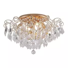 2447-6U Потолочная люстра Favourite Pluvia