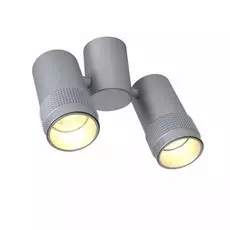 2454-2U Спот Favourite Kinescope