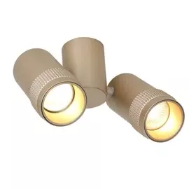 2455-2U Спот Favourite Kinescope