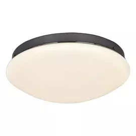 2468-2C Настенно-потолочный светильник F-Promo Ledante