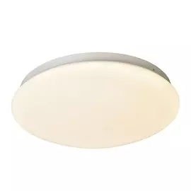 2469-2C Настенно-потолочный светильник F-Promo Ledante