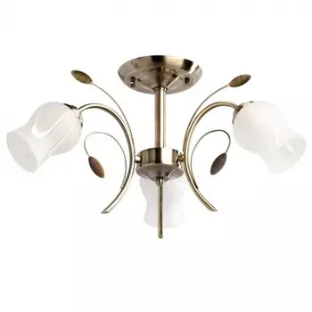 Потолочная люстра MW-Light Флора 256018103