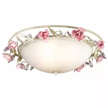 2585/3 Светильник потолочный Odeon Light Oxonia