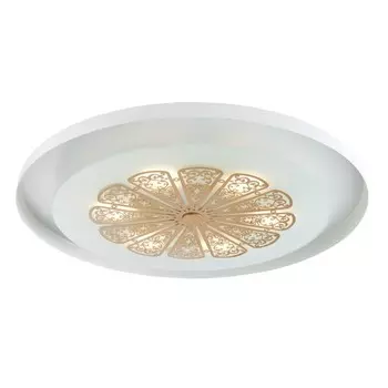 2602-5C Потолочный светодиодный светильник Favourite Incarnatio