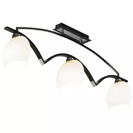 269-127-03 Потолочная люстра Velante