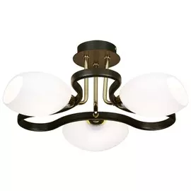 269-307-03 Потолочная люстра Velante