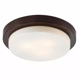 2744/3C Настенно-потолочный влагозащищенный светильник Odeon Light Holger