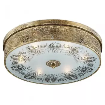 Потолочный светильник Odeon Light Aster 2782/6C