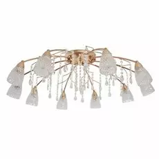 294015910 Потолочная люстра MW-Light Подснежник