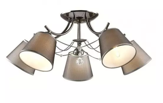 2974/5C Потолочная люстра Lumion Porta