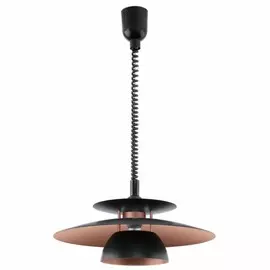 31666 Подвесной светильник Eglo Brenda