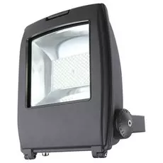 34221 Прожектор уличный светодиодный Globo Projecteur I