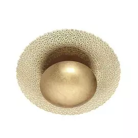 3559/24L Потолочный светодиодный светильник Odeon Light Solario