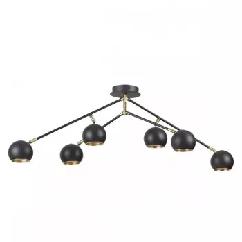 3635/6C Потолочная люстра Lumion Neruni