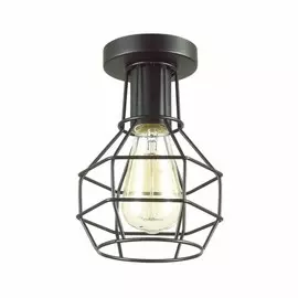 3637/1C Потолочный светильник Lumion Harald