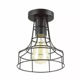 3639/1C Потолочный светильник Lumion Alfred