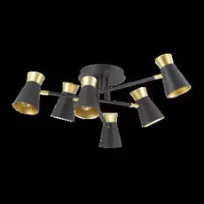 3790/6C Спот Lumion Liam