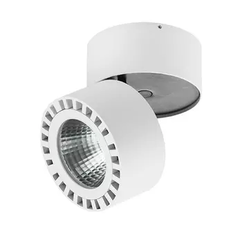 381363 Накладной уличный светодиодный светильник Lightstar Forte