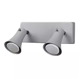 3825/2W Спот Odeon Light Reanna