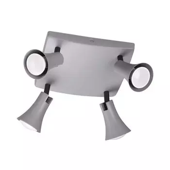 3825/4C Спот Odeon Light Reanna