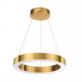 3885/25LG Подвесной светодиодный светильник, 2 вида крепления Odeon Light Brizzi