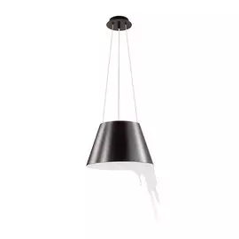 3979/1 Подвесной светильник Odeon Light Maestro