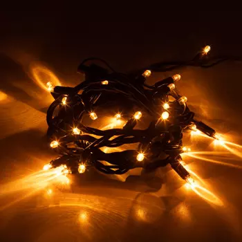 3м. Гирлянда нить желтый Эра ERAPS-NZ1 30LED (Б0060543)