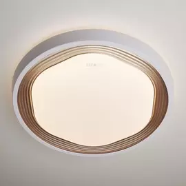 40005/1 LED кофе Потолочный светодиодный светильник с пультом ду Eurosvet