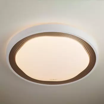 40006/1 LED кофе Потолочный светодиодный светильник с пультом ду Eurosvet