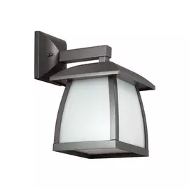 4049/1W Уличный настенный светильник Odeon Light Tako
