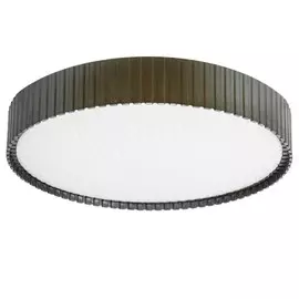 48017.45.72.77BR Светильник потолочный светодиодный с пультом Seven Fires Эйри