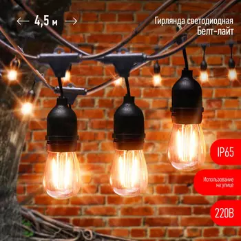 4,5м. Уличная гирлянда теплый свет Эра 220V IP65 ERABL-FIL1 (Б0056017)