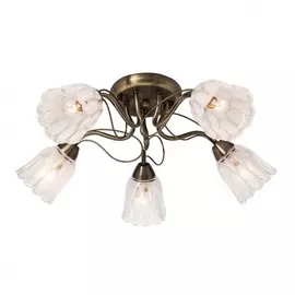 504.53.5 Потолочная люстра Silver Light Azalea