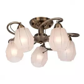 506.53.5 Потолочная люстра Silver Light Brazil