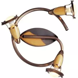 5436-3 Спот GLOBO