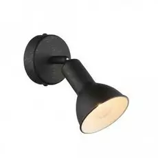 54649-1 Спот Globo Namus