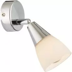 54919-1 Спот Globo Tadeus