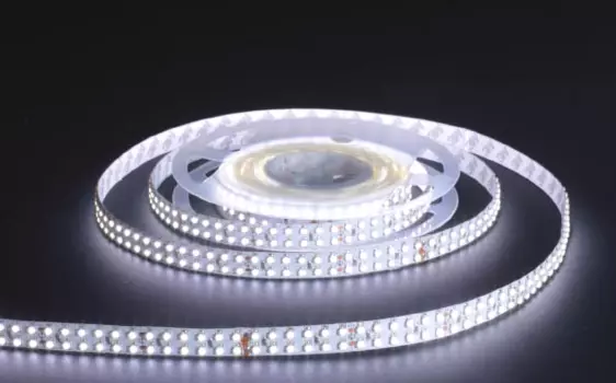 5м. Светодиодная лента дневного цвета 5000К, 24V, 19,2W, 240LED/m, IP20 Donolux (DL-18286/White-24-240)