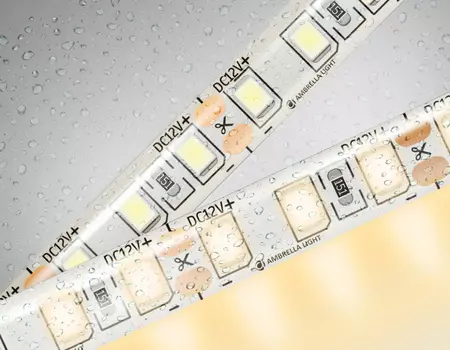 5м. Светодиодная лента холодного света 6500K, 2835, 9.6W, 12V, 120LED/m, IP65 Ambrella light ILLUMINATION LED Strip GS1201