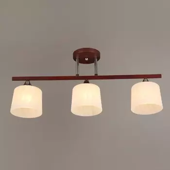 65771.01.12.03C Потолочная люстра Wedo Light Оттилд