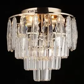 70646.01.01.05 Люстра потолочная Wedo Light Эллен