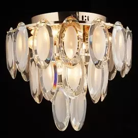 70647.01.01.06 Люстра потолочная Wedo Light Эрика